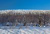 Paisaje de invierno | Foto de stock
