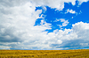 Dunkelblauen Himmel | Stock Foto