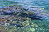 Meerwasser | Stock Foto