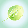 Wunderbare Baum Blatt | Stock Illustration