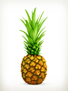 Vector clipart: Pineapple