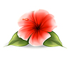 Vector clipart: Flower