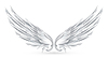 Vector clipart: Wings White,