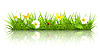 Vector clipart: Green grass, 10eps