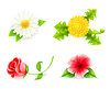 Vector clipart: Flowers set, 10eps