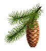 ID 3776314 | Pine cone with branch | Stock Vector Graphics ID 3776314 | Pine cone with branch | Stock Vector Graphics | CLIPARTO