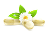 Vector clipart: Herbal medicine