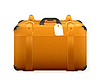 Vector clipart: Baggage