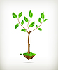 Vector clipart: Tree