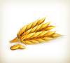 Vector clipart: Wheat, icon