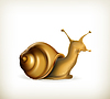 Vector clipart: Snail