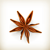 Vector clipart: Anise