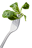 Feldsalat auf Gabel | Stock Foto