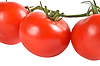 Rote Tomaten | Stock Foto