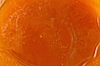 Honig | Stock Foto