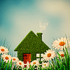 Green House. Instagram colorized natural backgrounds | Stock Foto