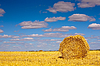 Pacas de heno de oro | Foto de stock