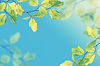 Vintage leaves | Stock Foto