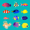 Vector clipart: Set of Sea Fish Color Design Flat