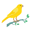 Vector clipart: Canary Flat Design