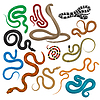 Vector clipart: Snake Set . Elongated, Legless Reptiles
