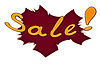 Photo 300 DPI: Sale on red background
