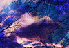 Blattlose Baumaste über sternenklarem Himmel | Stock Illustration