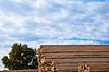 Lumber unter freiem Himmel | Stock Foto