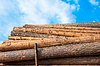 Lumber unter freiem Himmel | Stock Foto