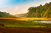 Wunderschöne Morgendämmerungslandschaft mit wildem Wald und See | Stock Foto
