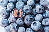 Gefrorene Erdbeeren | Stock Foto