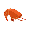 Vector clipart: Shrimp . Crustaceans. sea anim