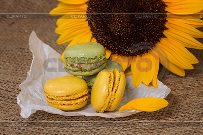 French macarons with yellow sunflowers | High resolution stock photo |ID 3909908