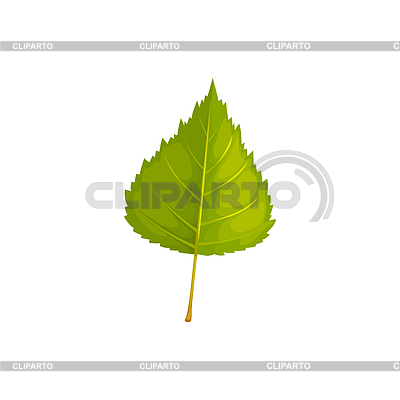 Hoja de abedul, otoño y otoño, icono | Ilustración vectorial de stock |ID 7212683