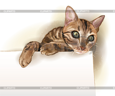 Кошка с баннером. Акварель стиль | Векторный клипарт |ID 3755493