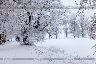 Invierno | Foto de alta resolución |ID 6768590