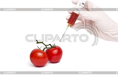 Gmo концепцию продукта: томатный инъекций | Фото большого размера |ID 3715852