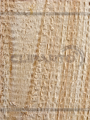 Fondo tablón de madera | Foto de alta resolución |ID 3730011