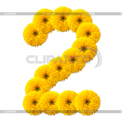 Cifra decimal de flores | Foto de alta resolución |ID 3976057
