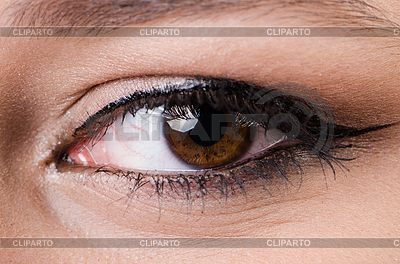 Auge einer Frau | Foto mit hoher Auflösung |ID 4792788