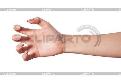 Mujeres mano para llegar a algo | Foto de alta resolución |ID 3727416