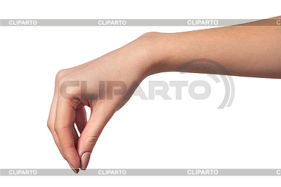 Mujeres mano para llegar a algo | Foto de alta resolución |ID 3727422