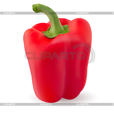 Un pimiento rojo | Ilustración vectorial de stock |ID 3807878