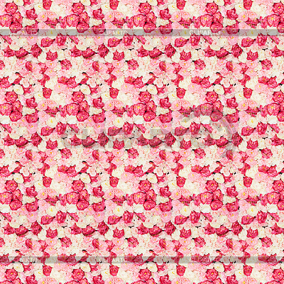 Pattern with flowers | High resolution stock photo |ID 3931781