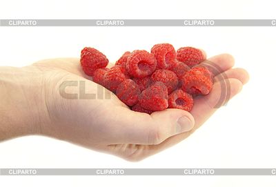 Dulces frambuesas en la mano sobre fondo blanco | Foto de alta resolución |ID 3729798
