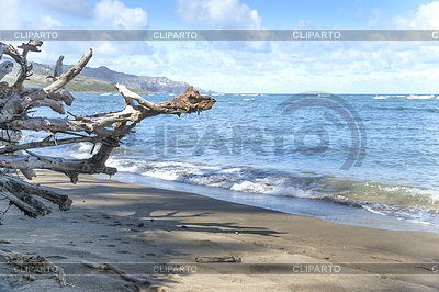 Waihee Beach Park | High resolution stock photo |ID 3743057