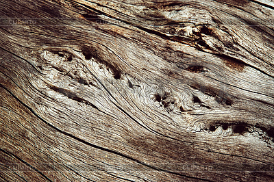 Detalle abstracto de madera seca | Foto de alta resolución |ID 6675194