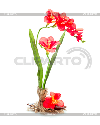 Bodegón de flores artificiales de freziya | Foto de alta resolución |ID 3872921