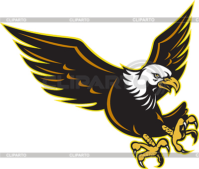 American Bald Eagle que vuela | Ilustración vectorial de stock |ID 3961750