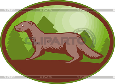 Vista lateral de visón europeo | Ilustración vectorial de stock |ID 3968563